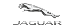 Jaguar Darien