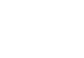 Dealership Logo