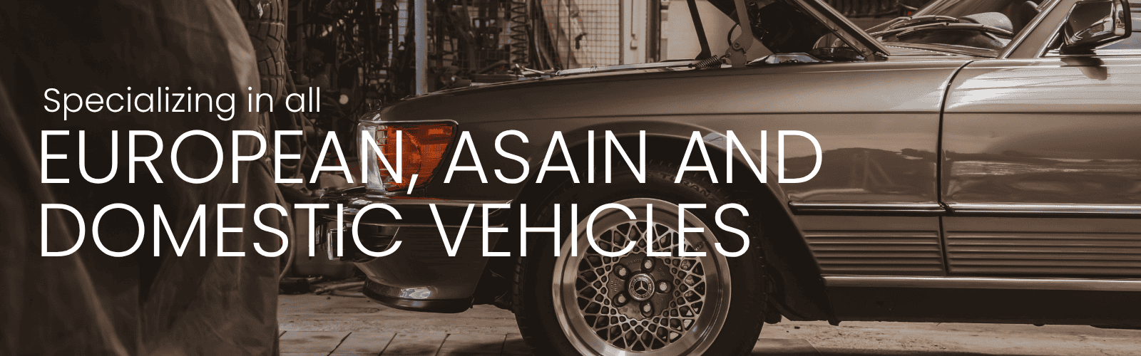 All European, Asain and Domestic v2