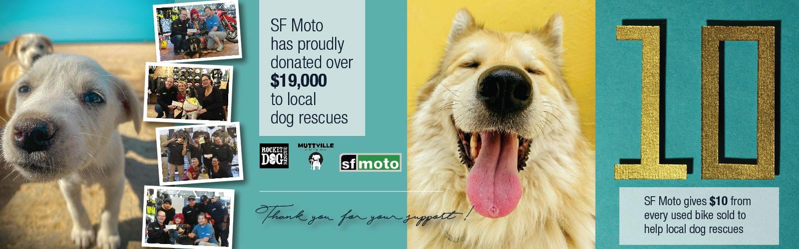 SF Moto dog donations