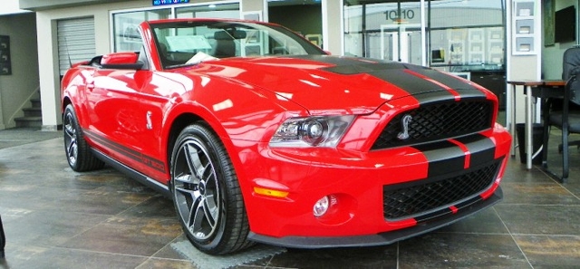 Shelby Red